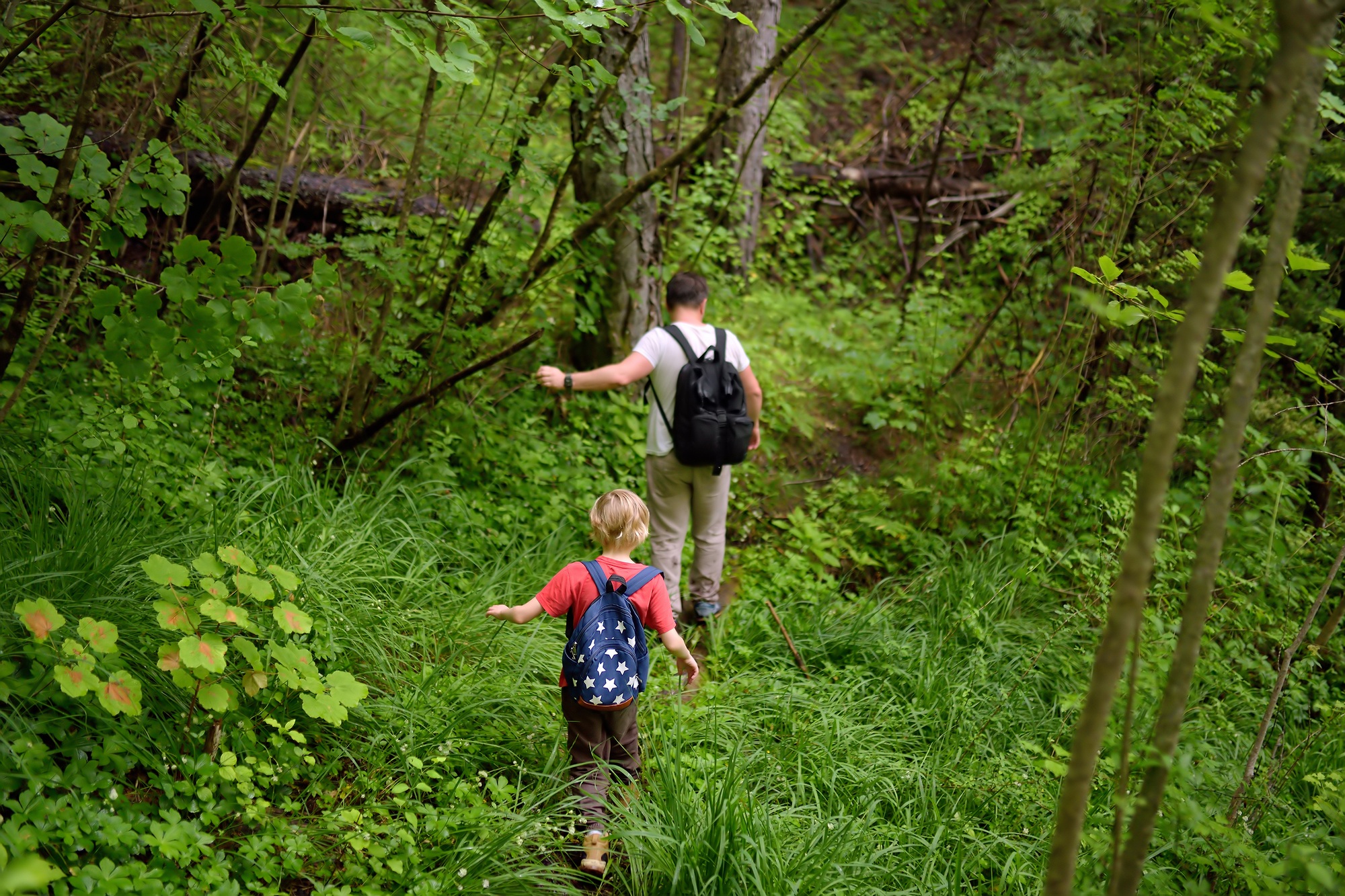 School child boy and father are hiking along forest lake and exploring nature. Family traveling